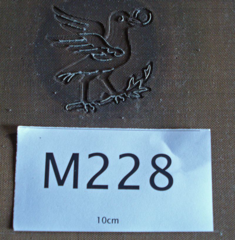 M228d - Dove close-up