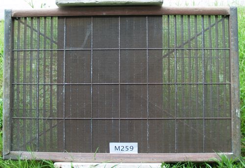 P6093101_edited-1
