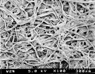 European Papermaking Techniques 1300-1800 - Paper Through Time:  Non-Destructive Analysis of 14th through 19th Century Papers - University  of Iowa